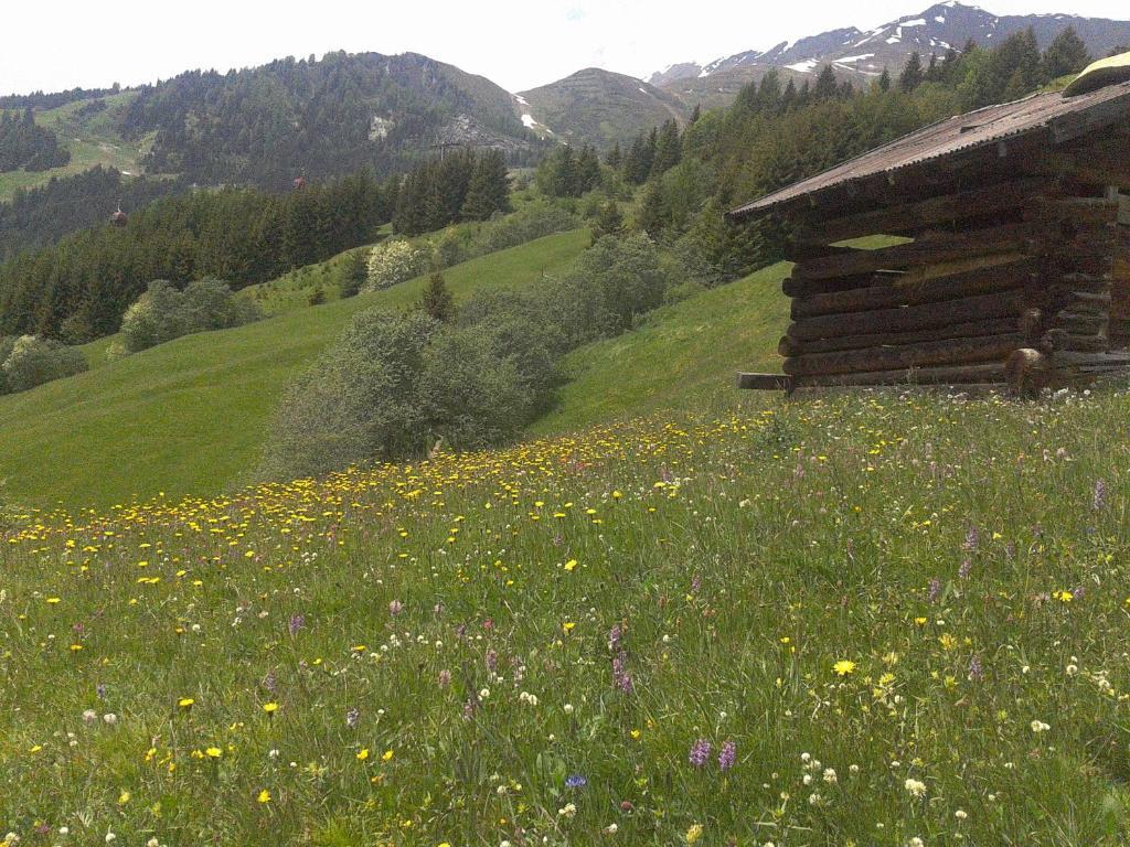 Apart Panoramablick Kaunerberg エクステリア 写真